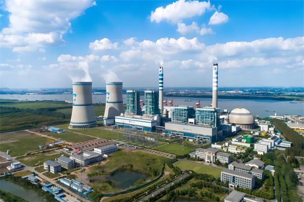 From Waste to Energy: The Rising Value of Biomass Power Plants